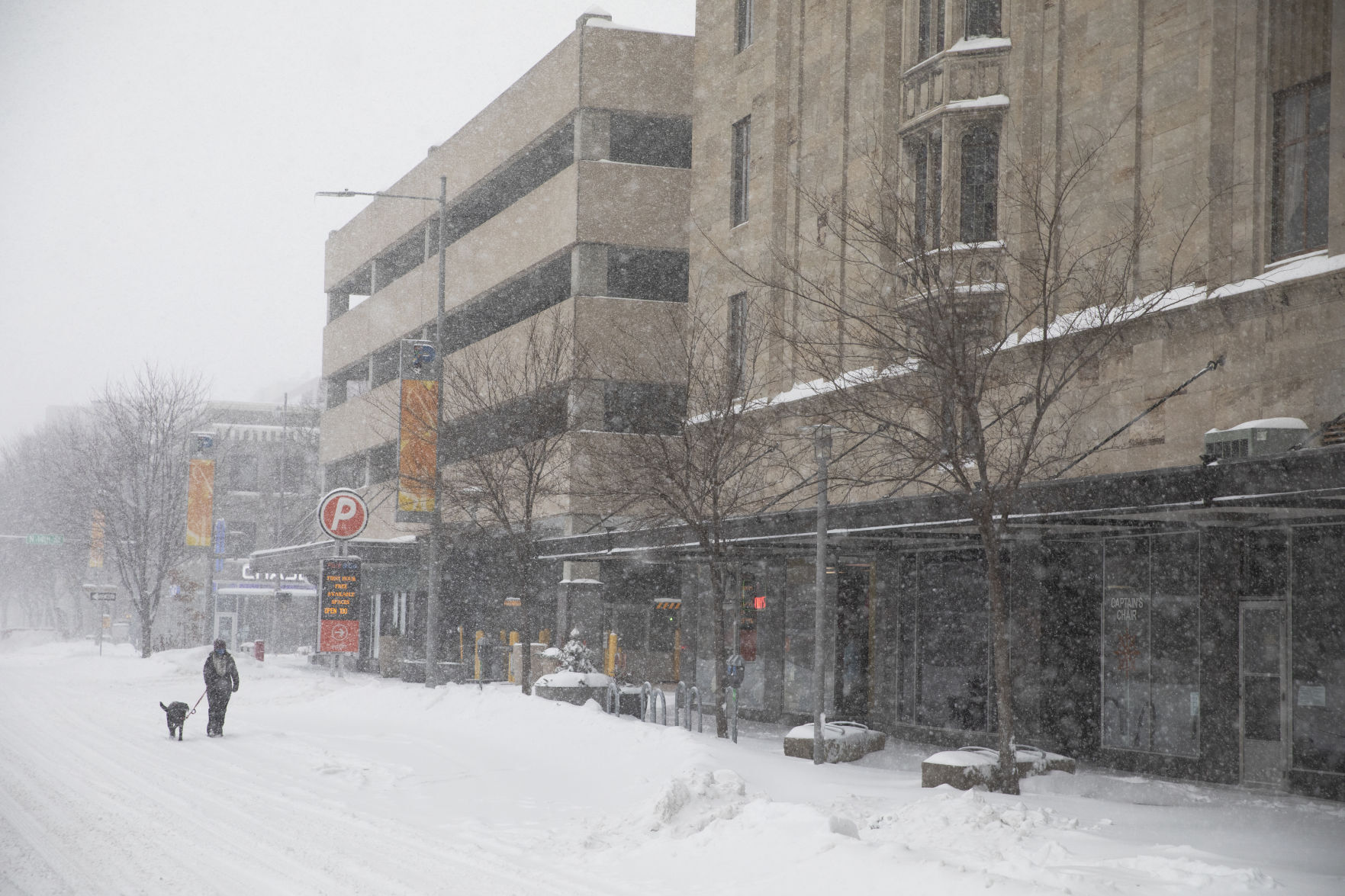 Winter Storm 1.25